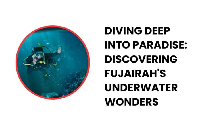 Diving Deep into Paradise Discovering Fujairah's Underwater Wonders