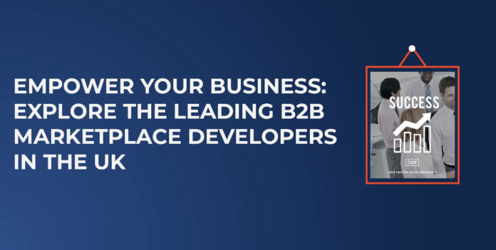 b2b marketplace development